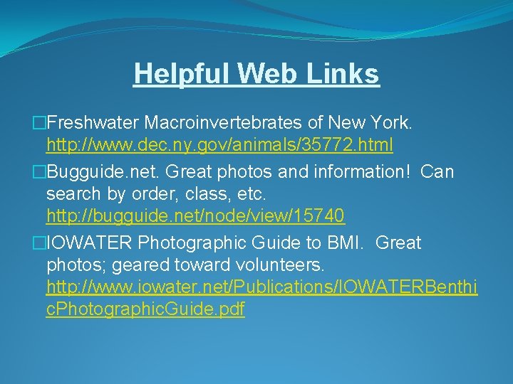 Helpful Web Links �Freshwater Macroinvertebrates of New York. http: //www. dec. ny. gov/animals/35772. html