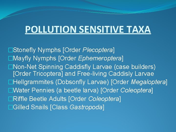 POLLUTION SENSITIVE TAXA �Stonefly Nymphs [Order Plecoptera] �Mayfly Nymphs [Order Ephemeroptera] �Non-Net Spinning Caddisfly