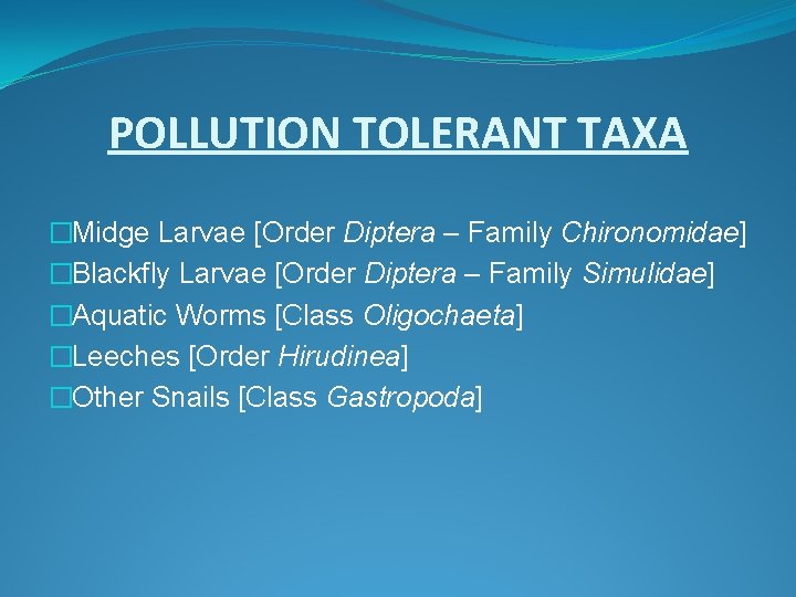 POLLUTION TOLERANT TAXA �Midge Larvae [Order Diptera – Family Chironomidae] �Blackfly Larvae [Order Diptera