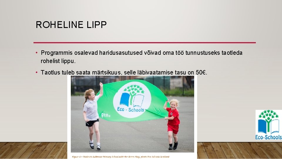 ROHELINE LIPP • Programmis osalevad haridusasutused võivad oma töö tunnustuseks taotleda rohelist lippu. •