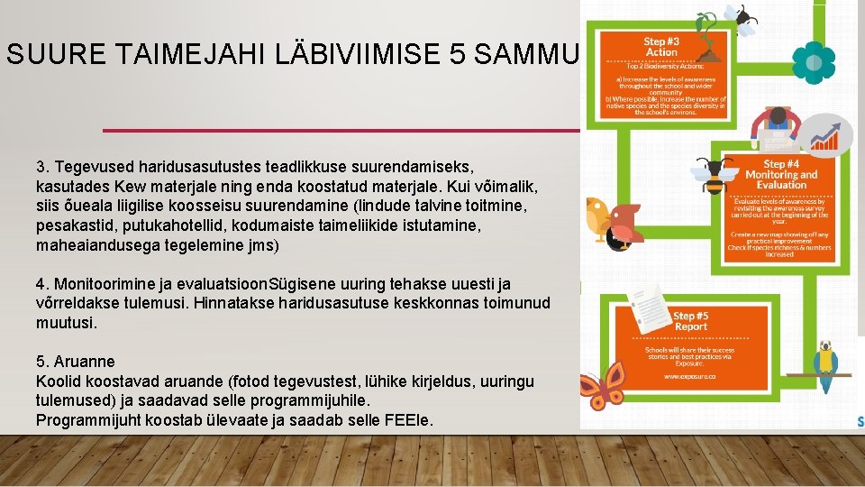 SUURE TAIMEJAHI LÄBIVIIMISE 5 SAMMU 3. Tegevused haridusasutustes teadlikkuse suurendamiseks, kasutades Kew materjale ning