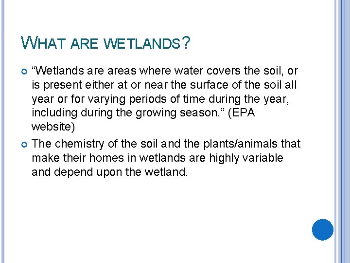 WHAT ARE WETLANDS? “Wetlands areas where water covers the soil, or is present either