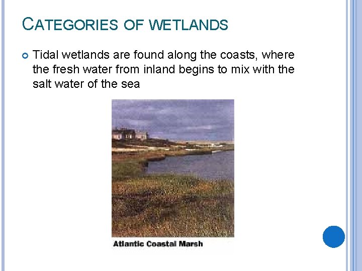 CATEGORIES OF WETLANDS Tidal wetlands are found along the coasts, where the fresh water