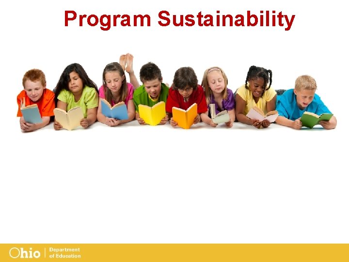 Program Sustainability 