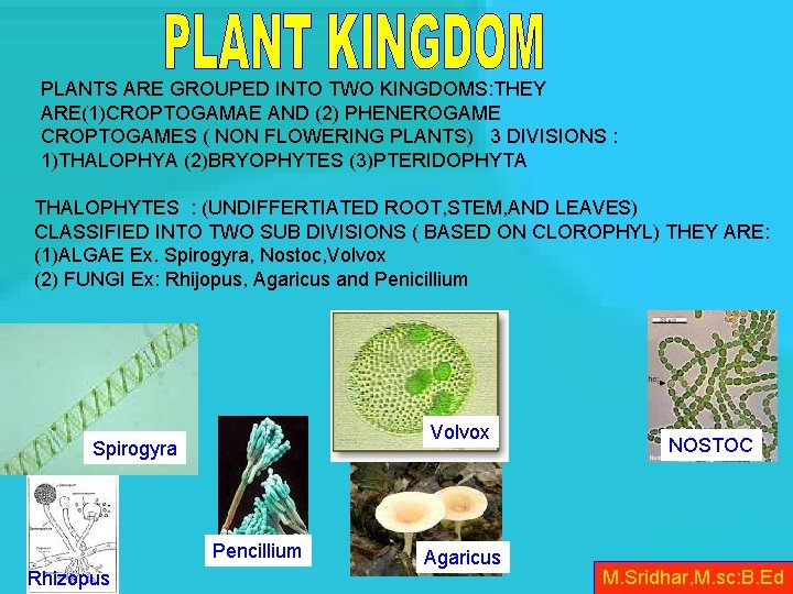PLANTS ARE GROUPED INTO TWO KINGDOMS: THEY ARE(1)CROPTOGAMAE AND (2) PHENEROGAME CROPTOGAMES ( NON