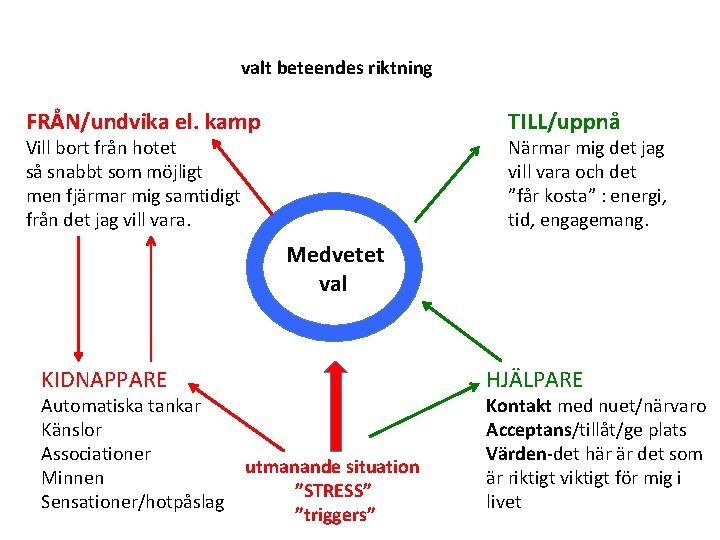 valt beteendes riktning FRÅN/undvika el. kamp TILL/uppnå Vill bort från hotet så snabbt som