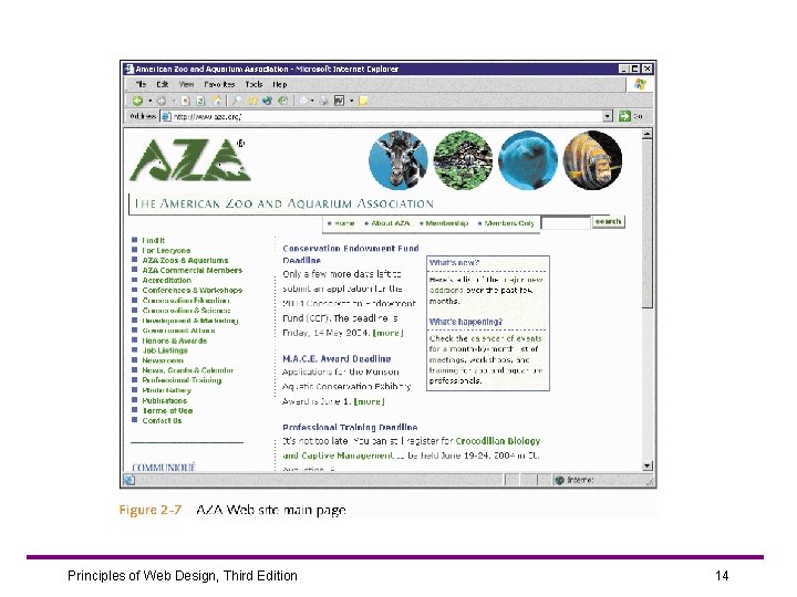 Principles of Web Design, Third Edition 14 