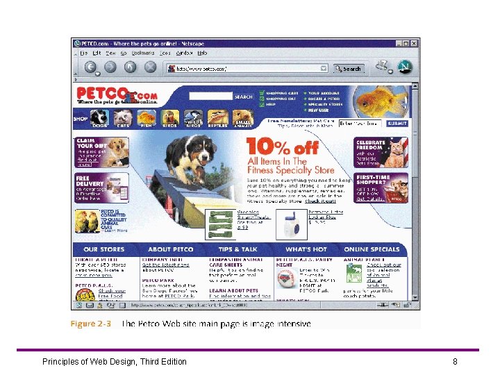 Principles of Web Design, Third Edition 8 