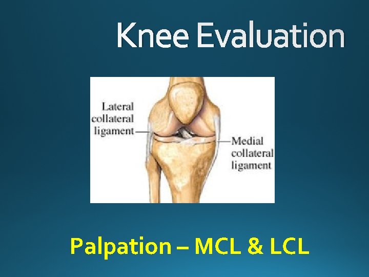 Knee Evaluation Palpation – MCL & LCL 