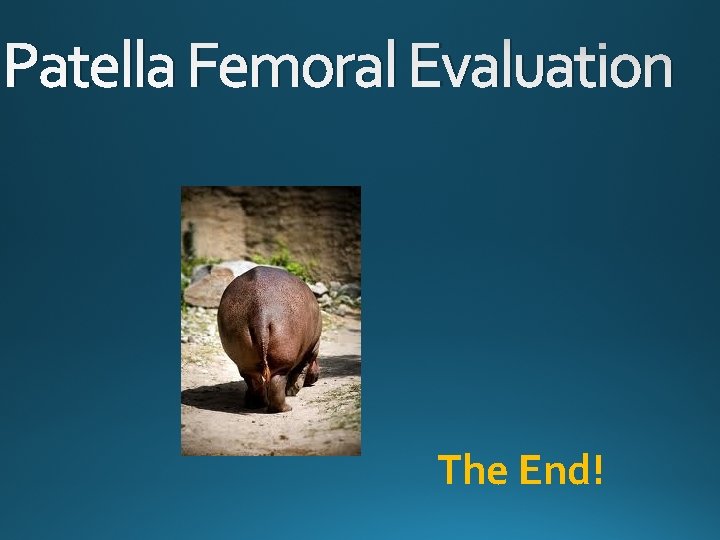 Patella Femoral Evaluation The End! 