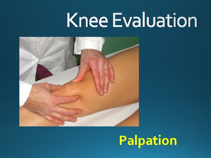 Knee Evaluation Palpation 