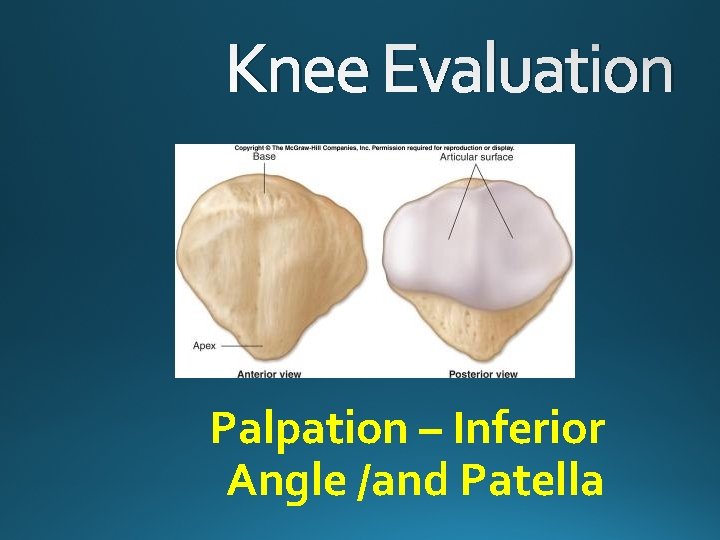 Knee Evaluation Palpation – Inferior Angle /and Patella 