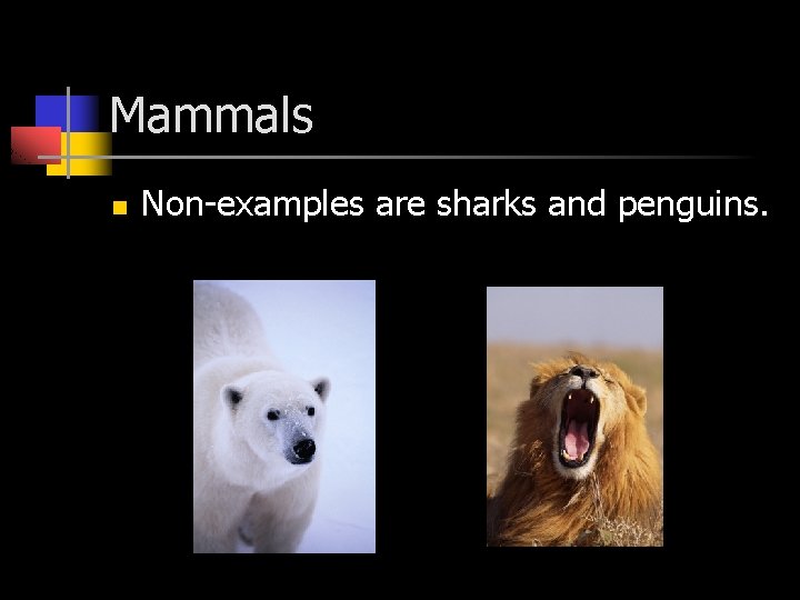 Mammals n Non-examples are sharks and penguins. 