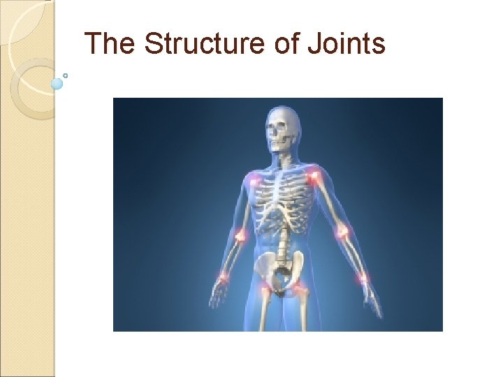 The Structure of Joints The Structure of Joints
