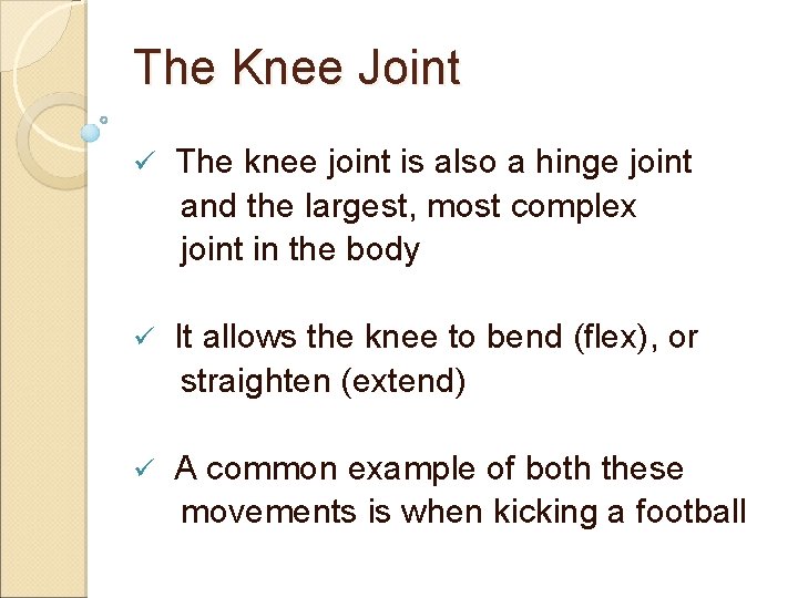 The Knee Joint ü The knee joint is also a hinge joint and the The Knee Joint ü The knee joint is also a hinge joint and the