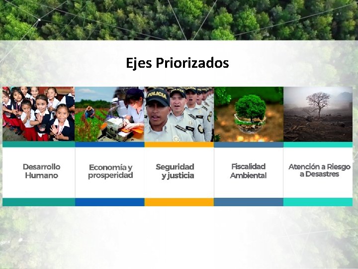 Ejes Priorizados 