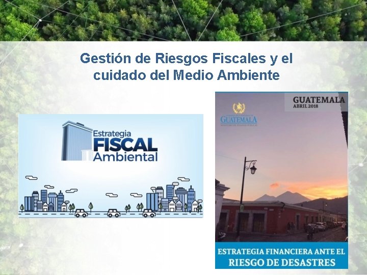 Gestión de Riesgos Fiscales y el cuidado del Medio Ambiente 