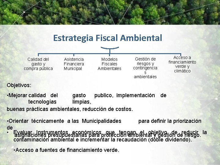 Estrategia Fiscal Ambiental Calidad del gasto y compra pública Asistencia Financiera Municipal Modelos Fiscales