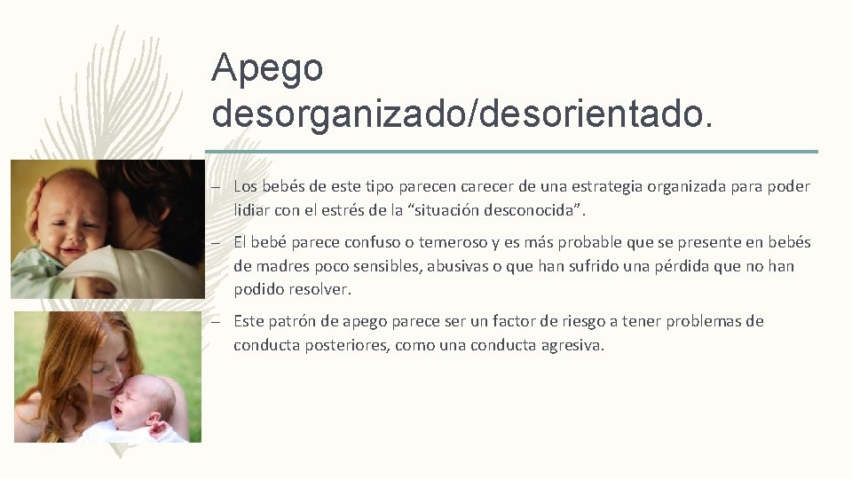 Apego desorganizado/desorientado. – Los bebés de este tipo parecen carecer de una estrategia organizada