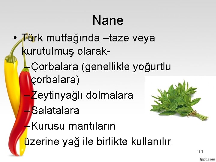 Nane • Türk mutfağında –taze veya kurutulmuş olarak– Çorbalara (genellikle yoğurtlu çorbalara) – Zeytinyağlı