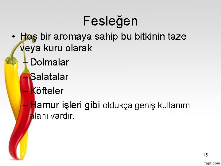 Fesleğen • Hoş bir aromaya sahip bu bitkinin taze veya kuru olarak – Dolmalar