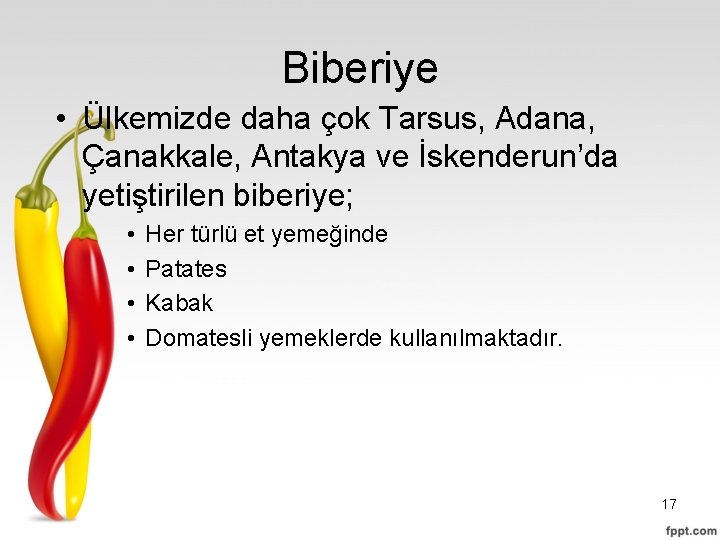 Biberiye • Ülkemizde daha çok Tarsus, Adana, Çanakkale, Antakya ve İskenderun’da yetiştirilen biberiye; •