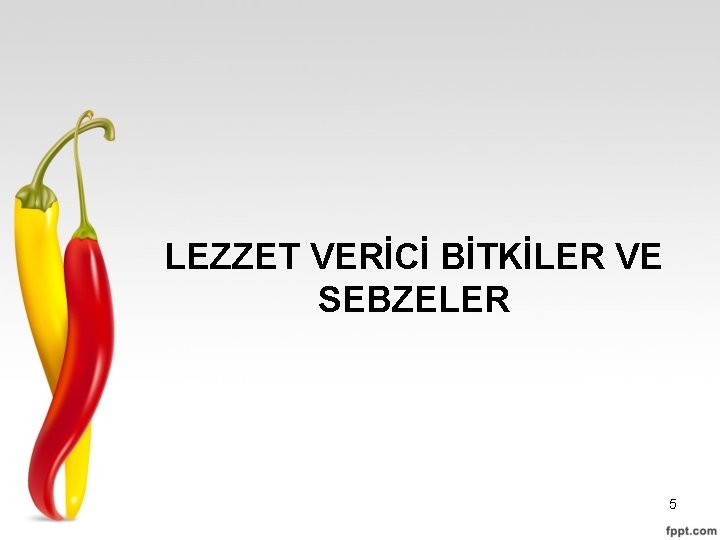 LEZZET VERİCİ BİTKİLER VE SEBZELER 5 