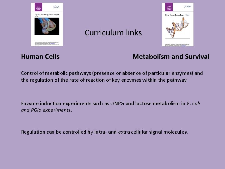 Curriculum links Human Cells Metabolism and Survival Control of metabolic pathways (presence or absence