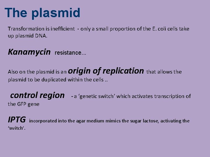The plasmid Transformation is inefficient - only a small proportion of the E. coli