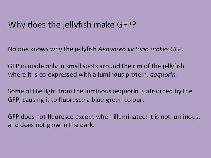 Why does the jellyfish make GFP? No one knows why the jellyfish Aequorea victoria