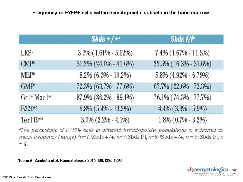 Frequency of EYFP+ cells within hematopoietic subsets in the bone marrow. Noemi A. Zambetti