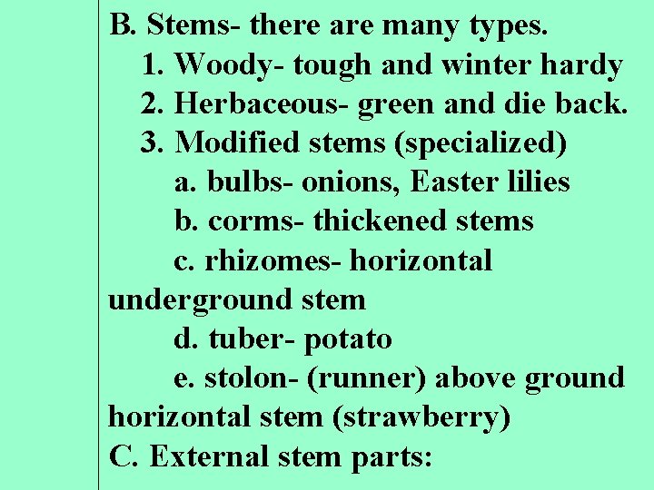 B. Stems- there are many types. 1. Woody- tough and winter hardy 2. Herbaceous-