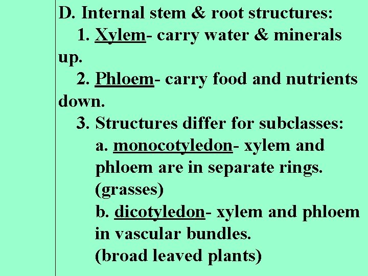 D. Internal stem & root structures: 1. Xylem- carry water & minerals up. 2.