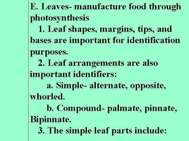 E. Leaves- manufacture food through photosynthesis 1. Leaf shapes, margins, tips, and bases are