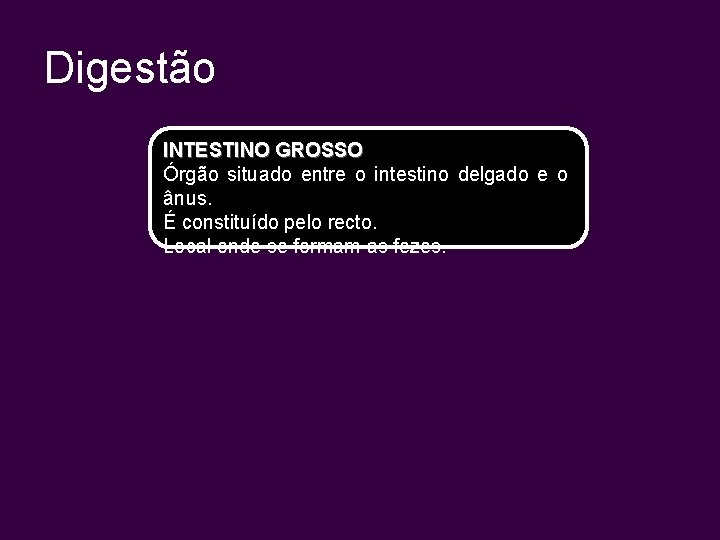 Digestão INTESTINO GROSSO Órgão situado entre o intestino delgado e o ânus. É constituído