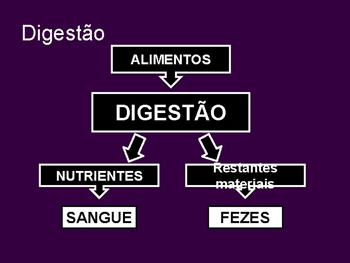 Digestão ALIMENTOS DIGESTÃO NUTRIENTES Restantes materiais SANGUE FEZES 