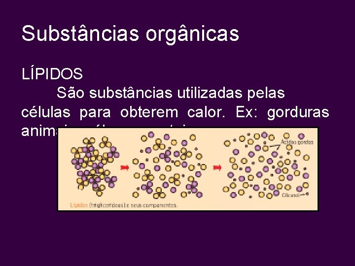 Substâncias orgânicas LÍPIDOS São substâncias utilizadas pelas células para obterem calor. Ex: gorduras animais