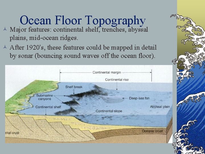 Ocean Floor Topography © Major features: continental shelf, trenches, abyssal plains, mid-ocean ridges. ©