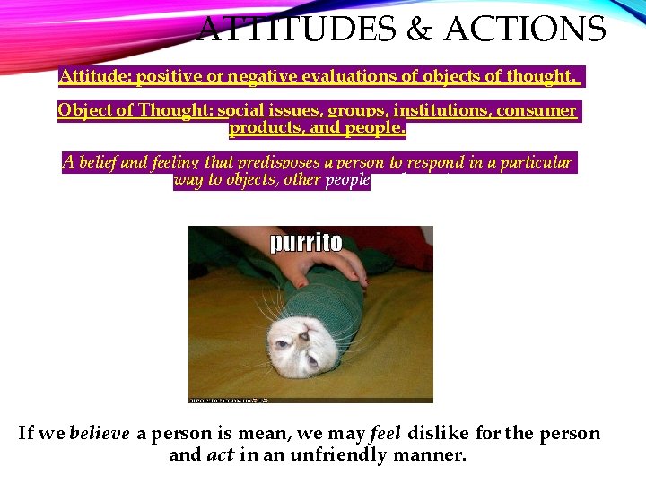 ATTITUDES & ACTIONS Attitude: positive or negative evaluations of objects of thought. Object of