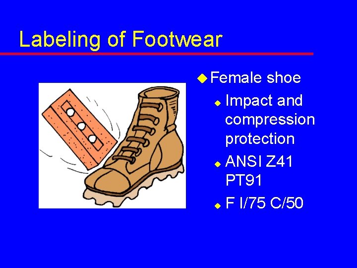 Labeling of Footwear u Female shoe u Impact and compression protection u ANSI Z