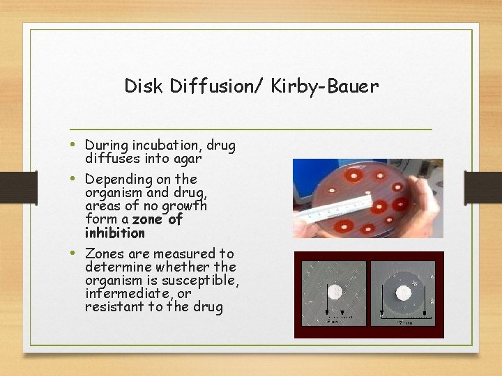 Disk Diffusion/ Kirby-Bauer • During incubation, drug diffuses into agar • Depending on the