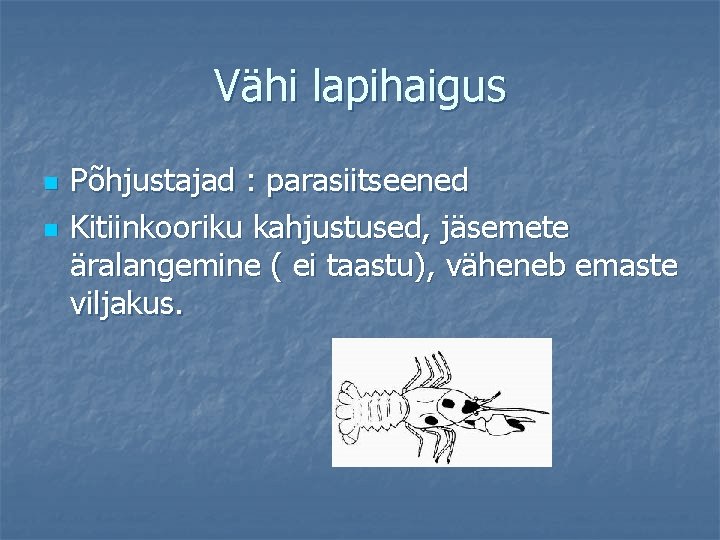 Vähi lapihaigus n n Põhjustajad : parasiitseened Kitiinkooriku kahjustused, jäsemete äralangemine ( ei taastu),