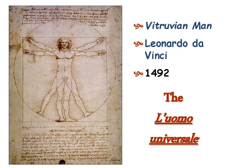  Vitruvian Man Leonardo da Vinci 1492 The L’uomo universale 