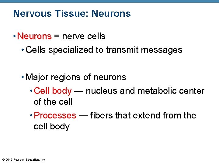 Nervous Tissue: Neurons • Neurons = nerve cells • Cells specialized to transmit messages
