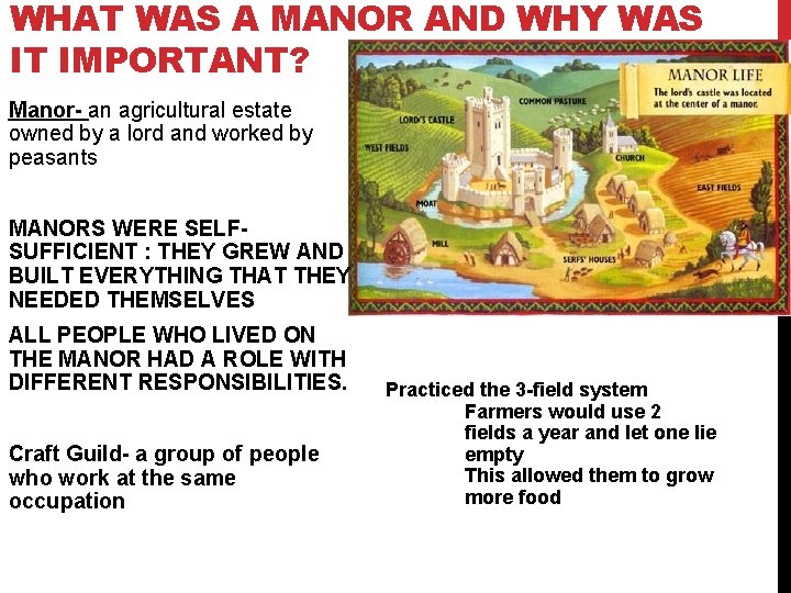 WHAT WAS A MANOR AND WHY WAS IT IMPORTANT? Manor- an agricultural estate owned