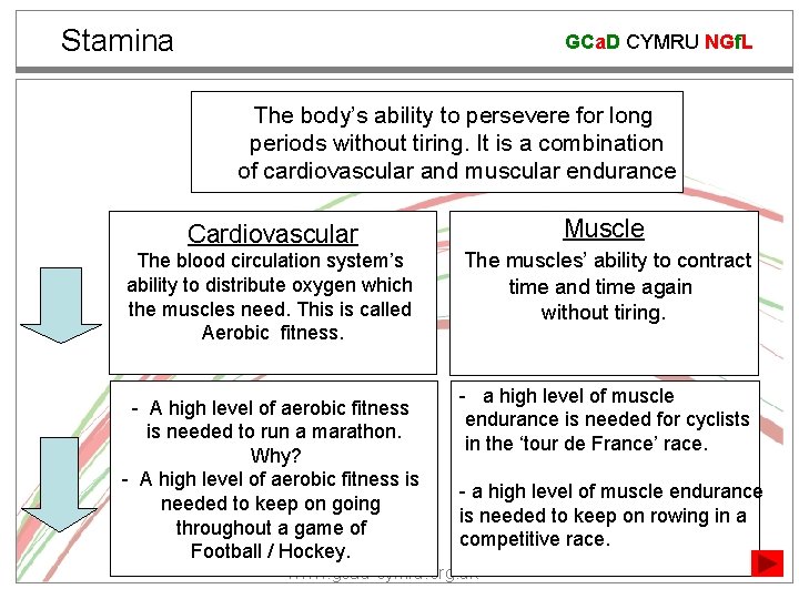 Stamina GCa. D CYMRU NGf. L The body’s ability to persevere for long periods