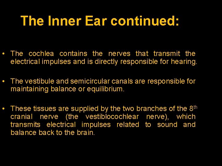 The Inner Ear continued: • The cochlea contains the nerves that transmit the electrical