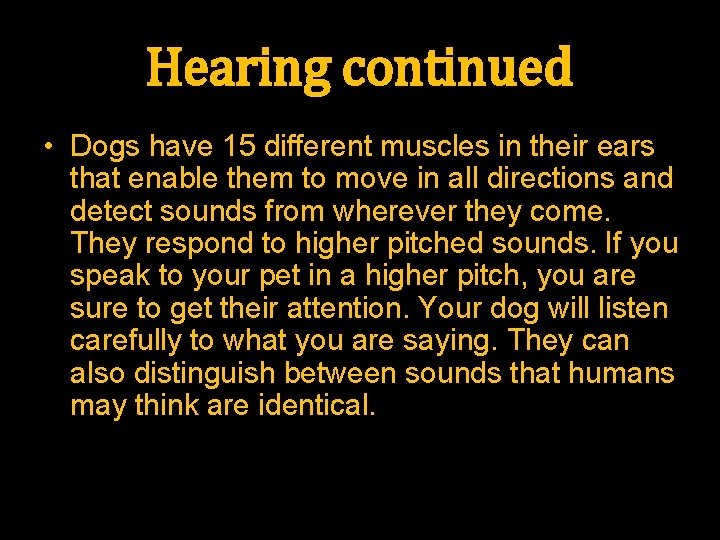 Hearing continued • Dogs have 15 different muscles in their ears that enable them