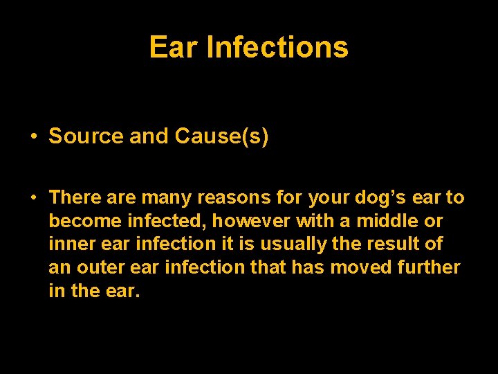 Ear Infections • Source and Cause(s) • There are many reasons for your dog’s