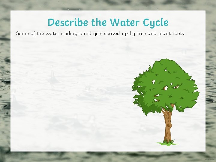 Describe the Water Cycle Some of the water underground gets soaked up by tree